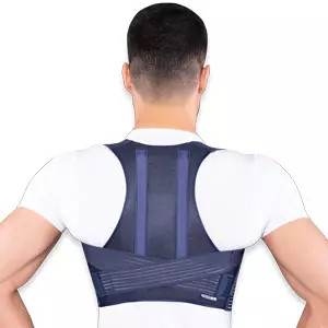 قوز بند پلدار